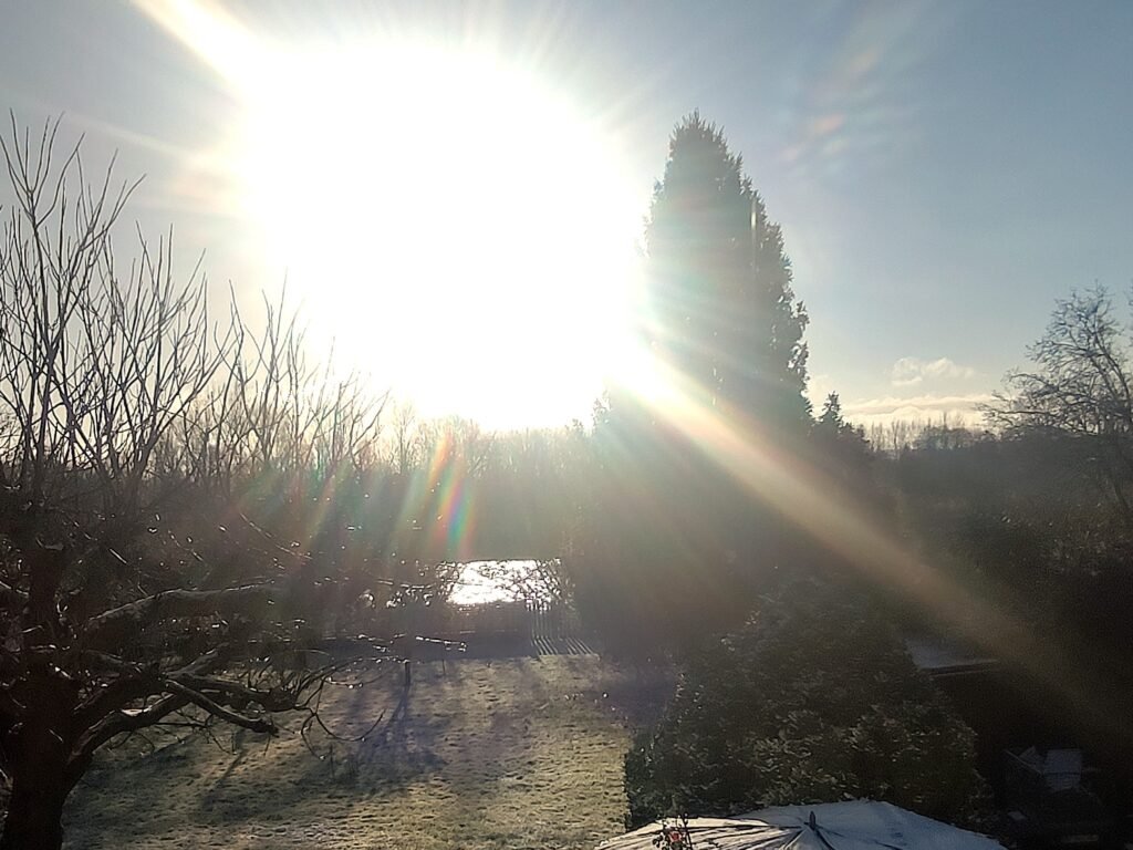 A propos Sab et Co kit de couture 