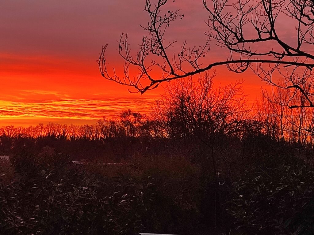 A propos Sab et Co kit de couture 